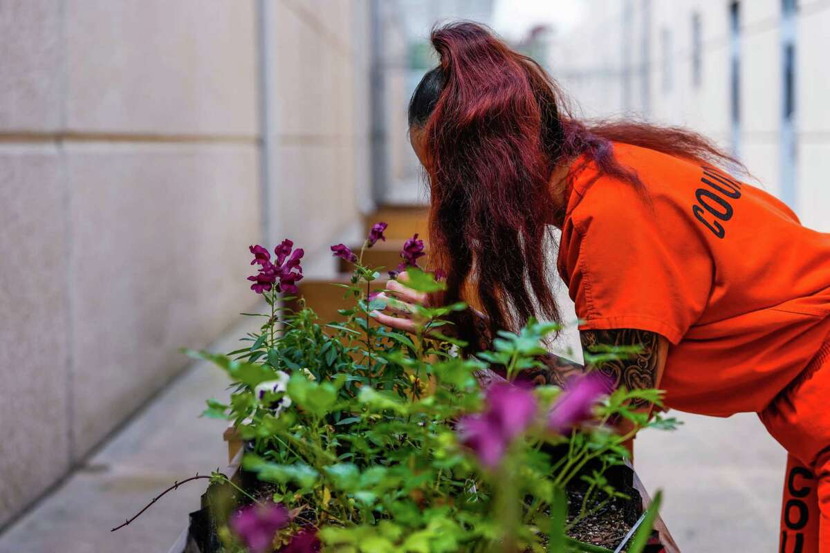 Harris County allocates 4.7 million for incarcerated women's reentry
