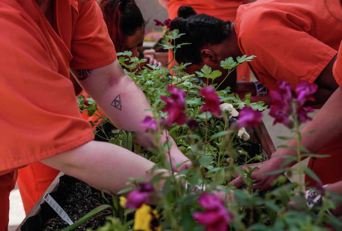 Harris County allocates 4.7 million for incarcerated women's reentry