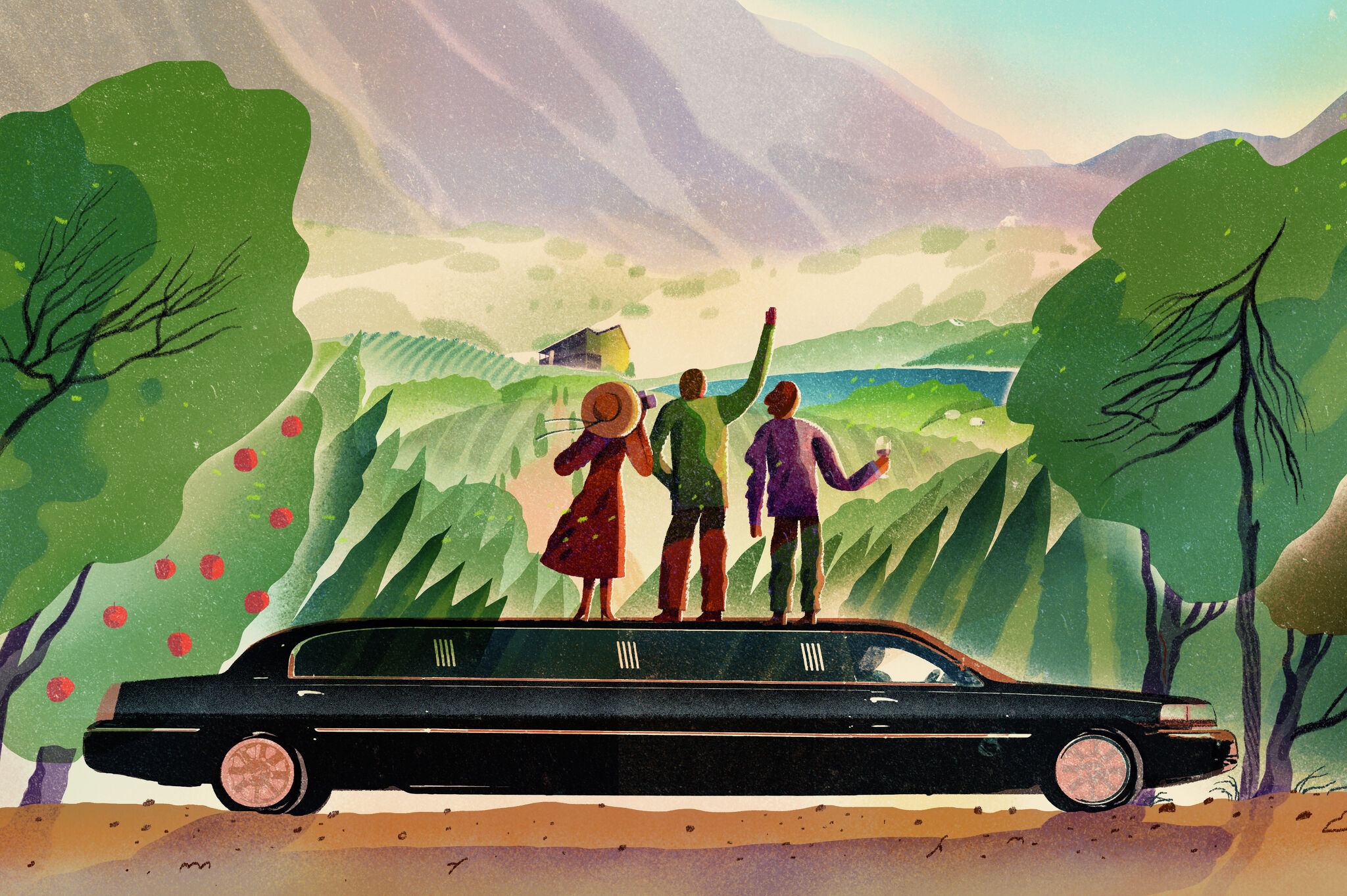 This incredible California wine region is stuck at a crossroads - Vimarsana News