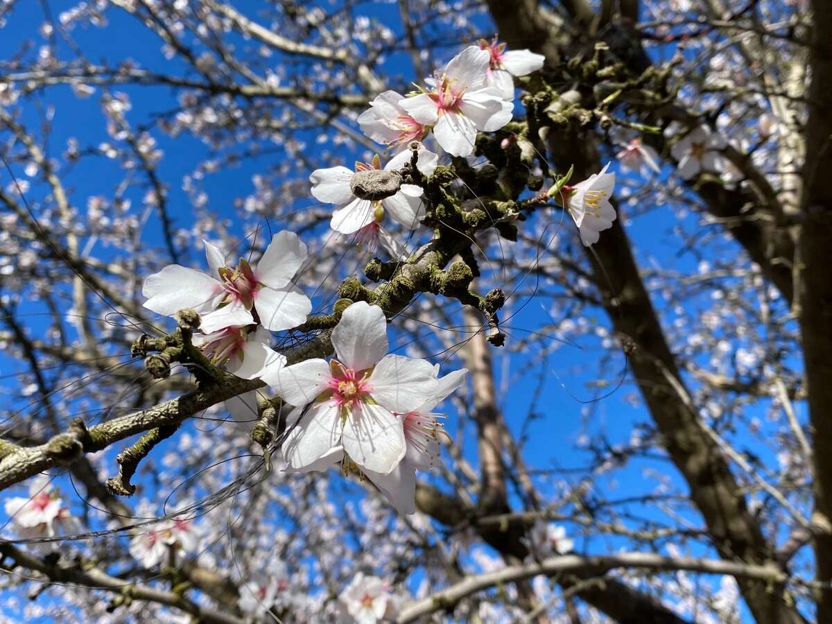 Modesto, CA Your ultimate guide to a funfilled visit