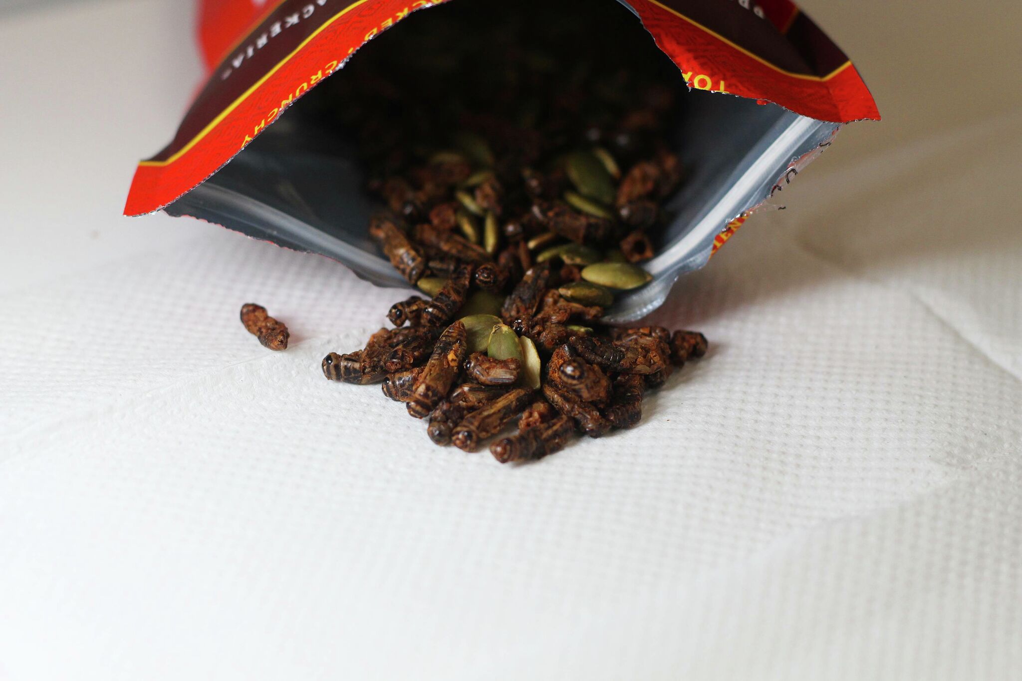 This Latina-owned edible insect company in S.F. has stellar snacks