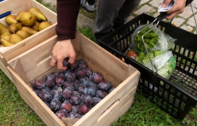 Community garden membership at Capital Roots is rising - Vimarsana News