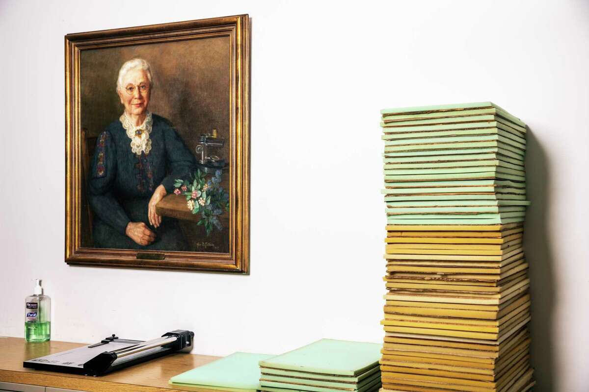 This 1906 earthquake hero saved the specimens that rebuilt Cal Academy