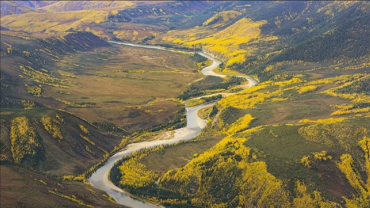 Stake Your Claim Alaska's Most Expensive Listing Is an Actual Gold Mine