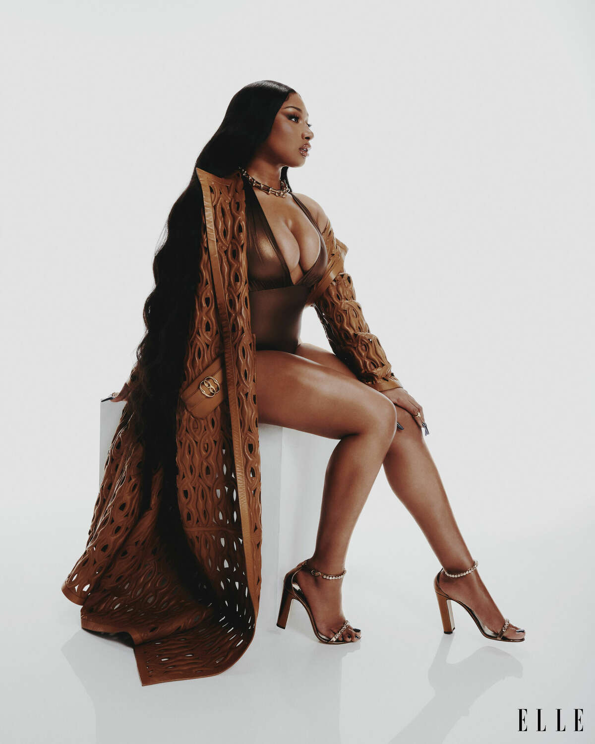 Megan Thee Stallion Addresses Private Image Leak - fwqg9kv