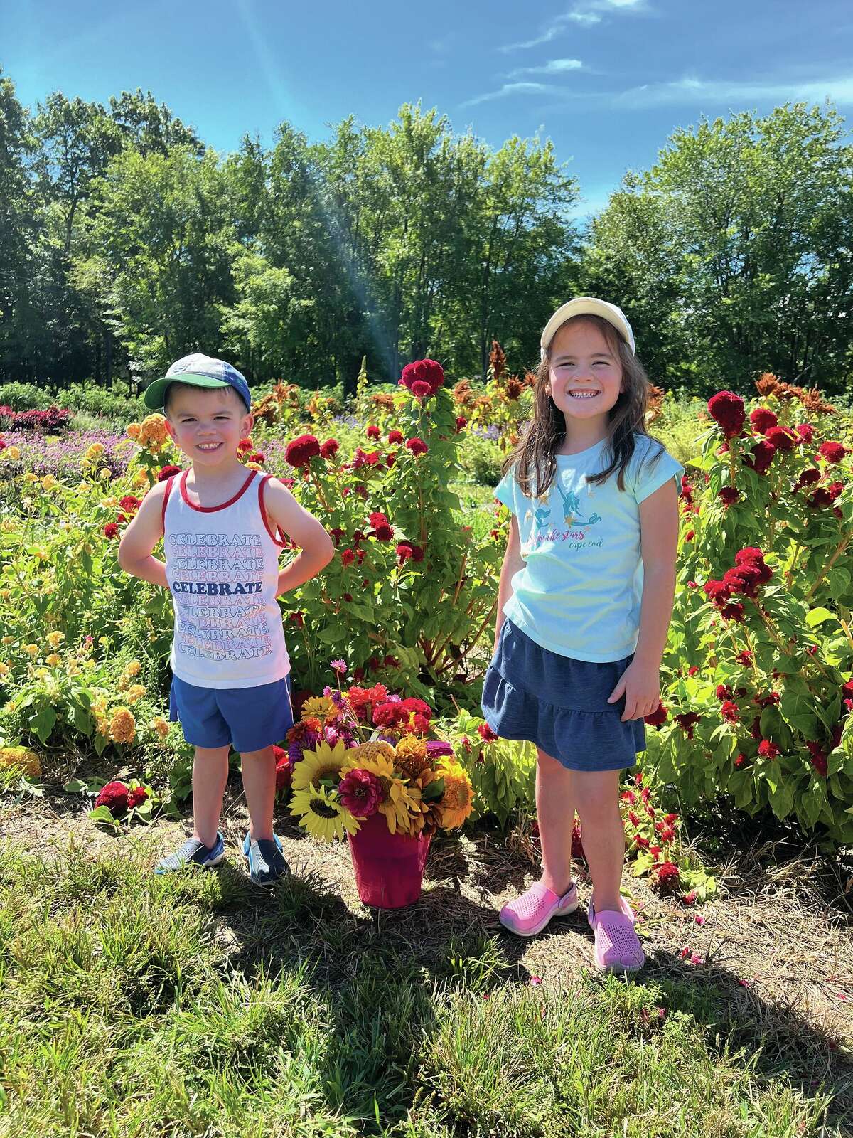 Farms and gardens where you can pick your own flowers in CT