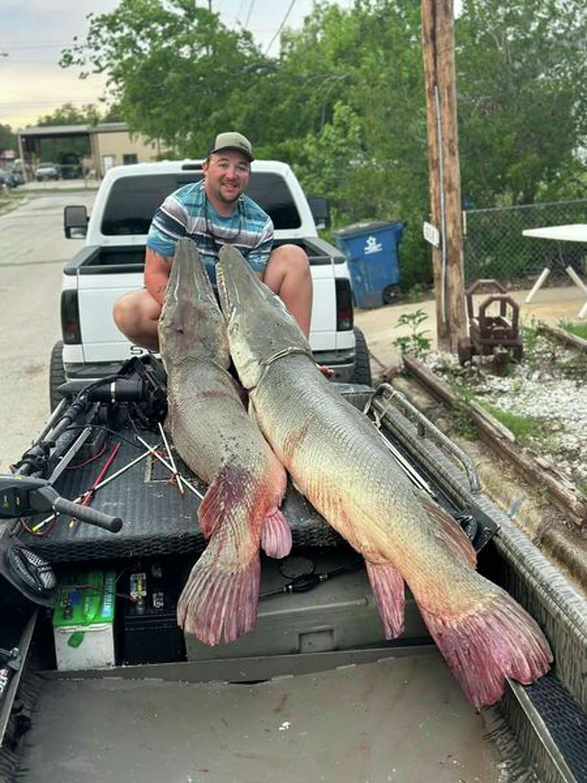 Texas fishermen Tyler Welch and Waylon Johnson shot two massive alligator gars while bowfishing at Lake Mathis. 