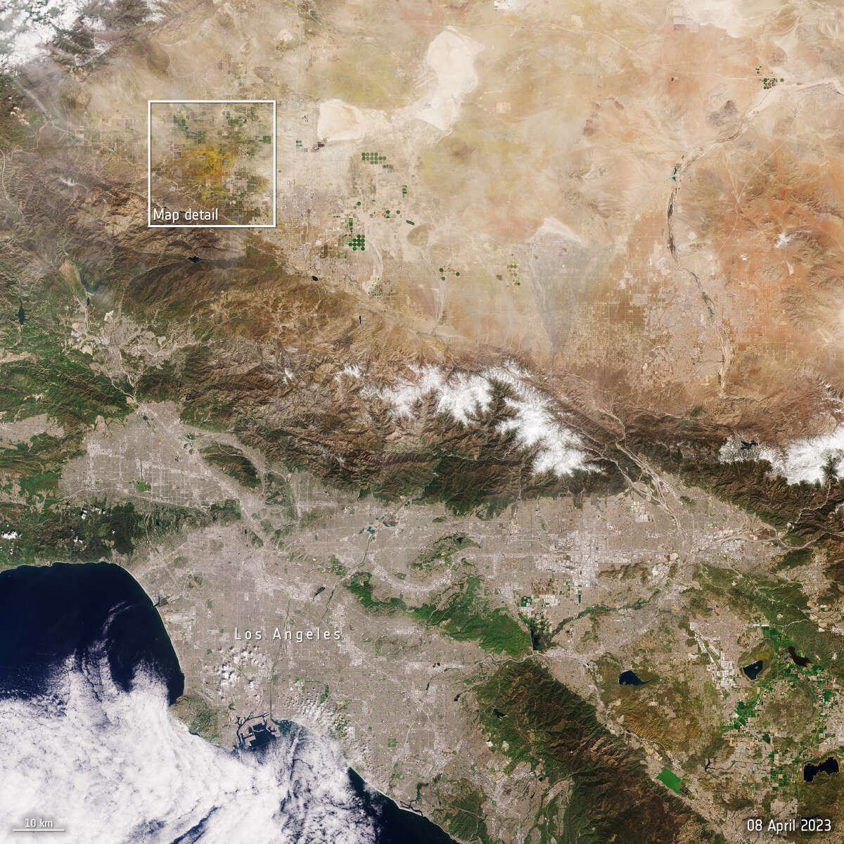 Calif.