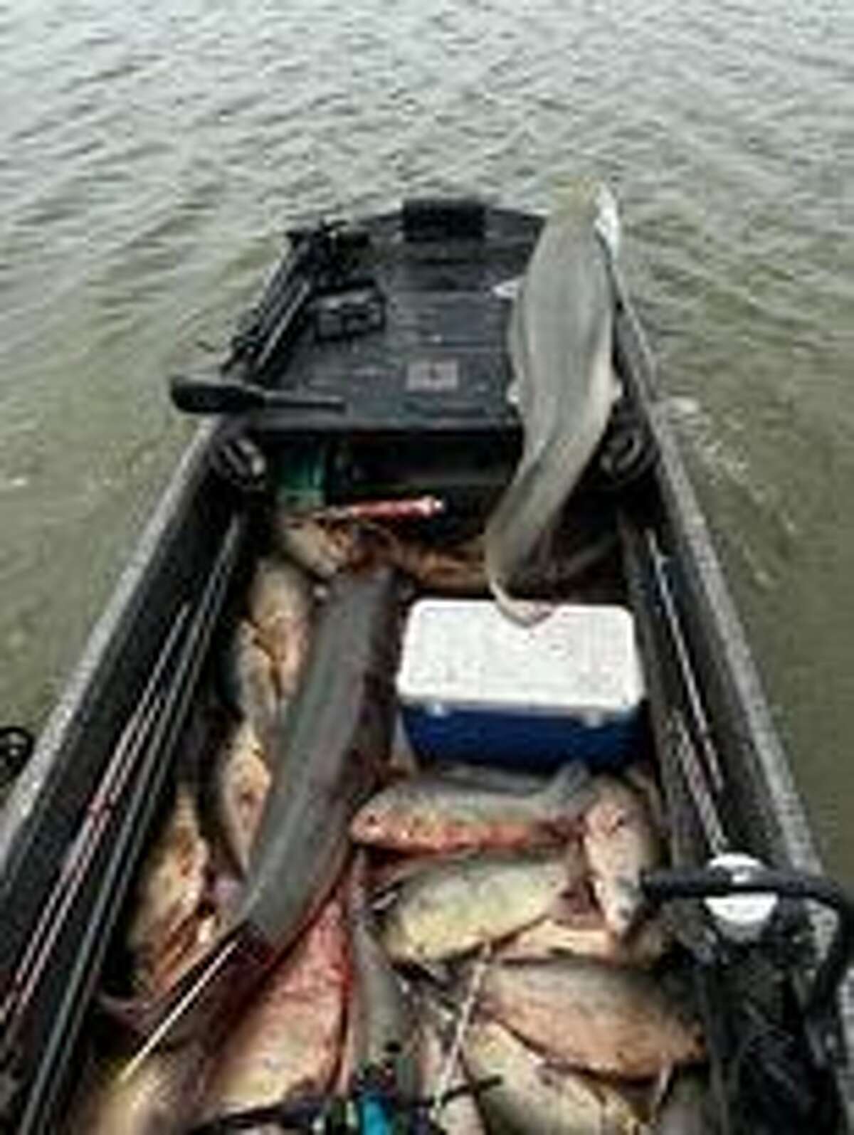 Texas Fishermen Break Record With Massive Alligator Gar