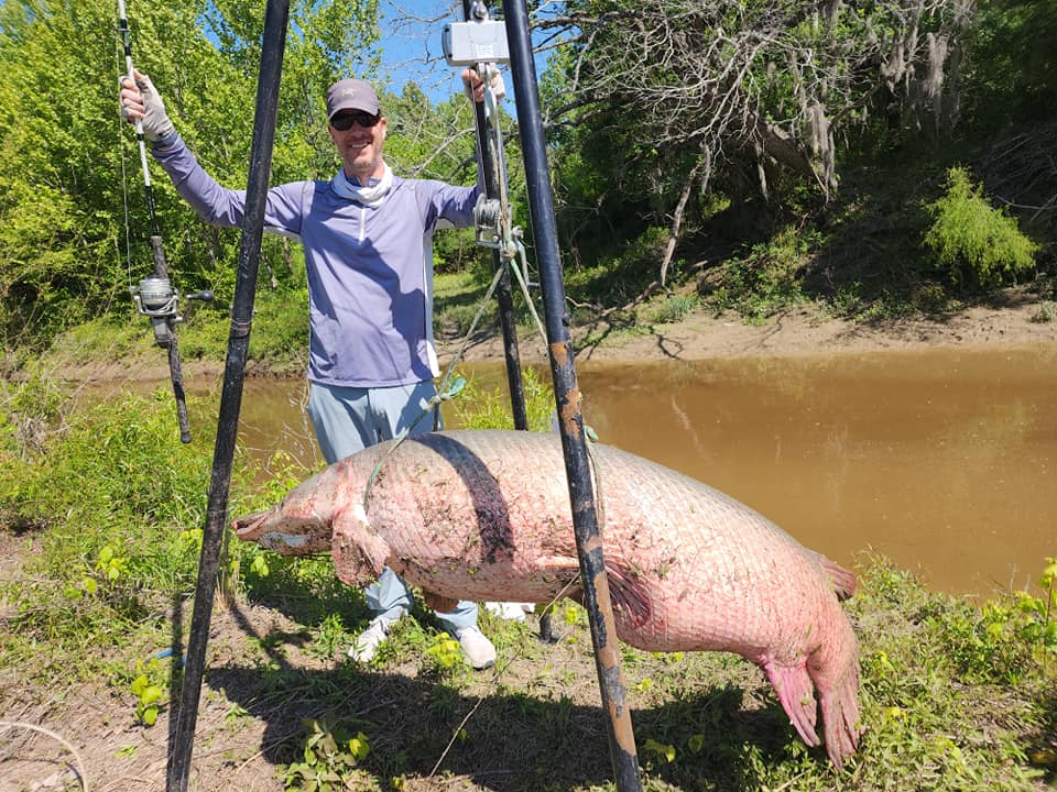 Pending world record alligator gar reeled in by angler in Texas
