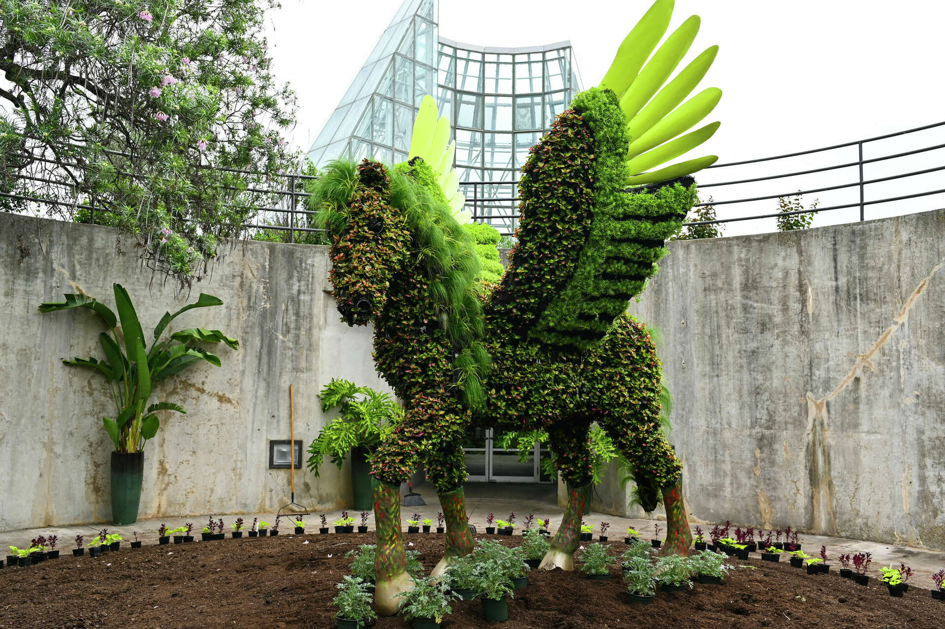 Imaginary Worlds' open at San Antonio Botanical Garden