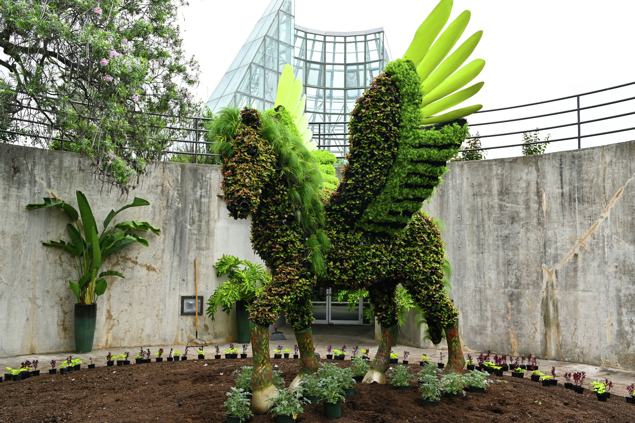 'Imaginary Worlds' at San Antonio Botanical Garden a fairy tale treat - Vimarsana News