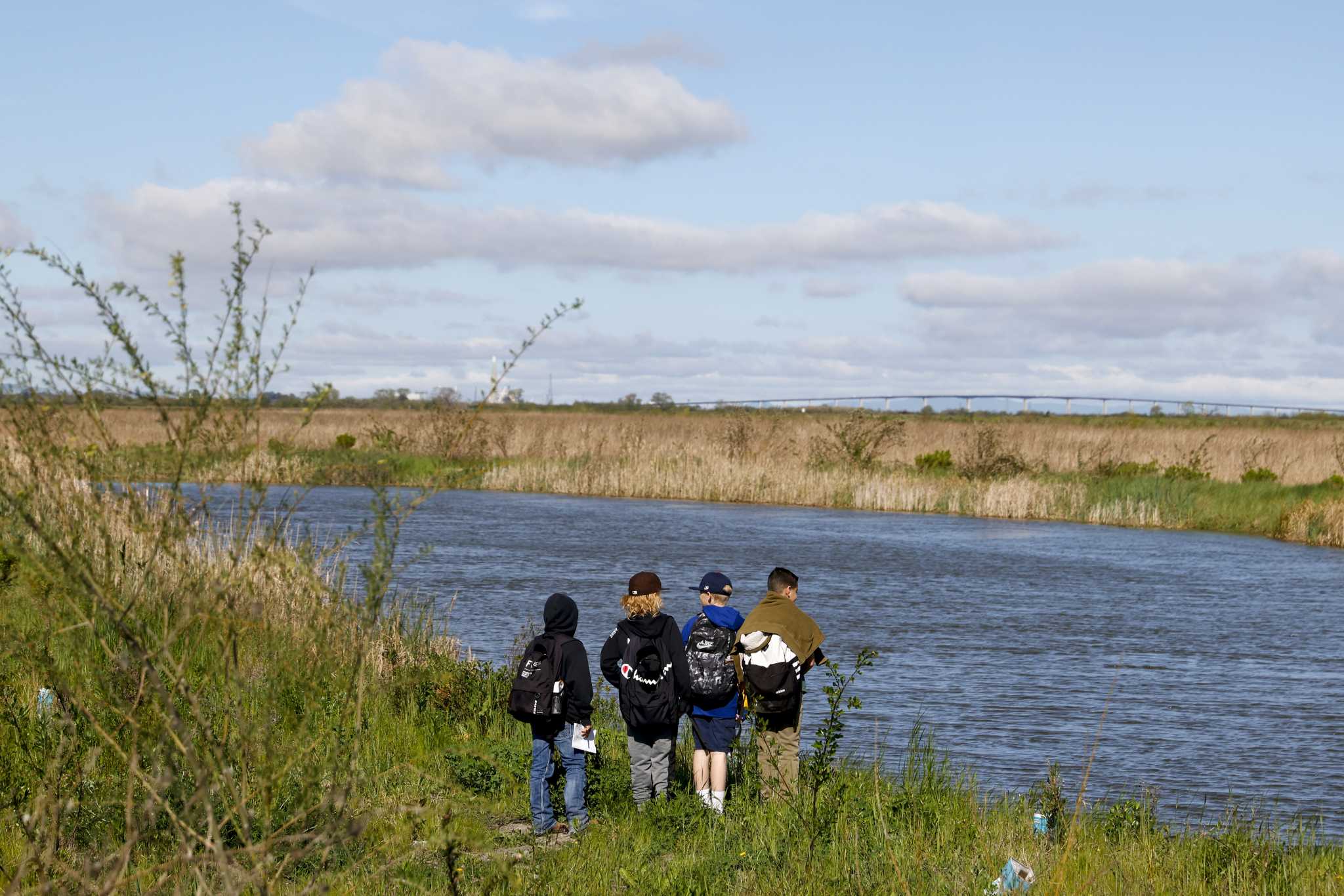 The S.F. Bay Area hosts one of the best carbon sinks in the world - Vimarsana News