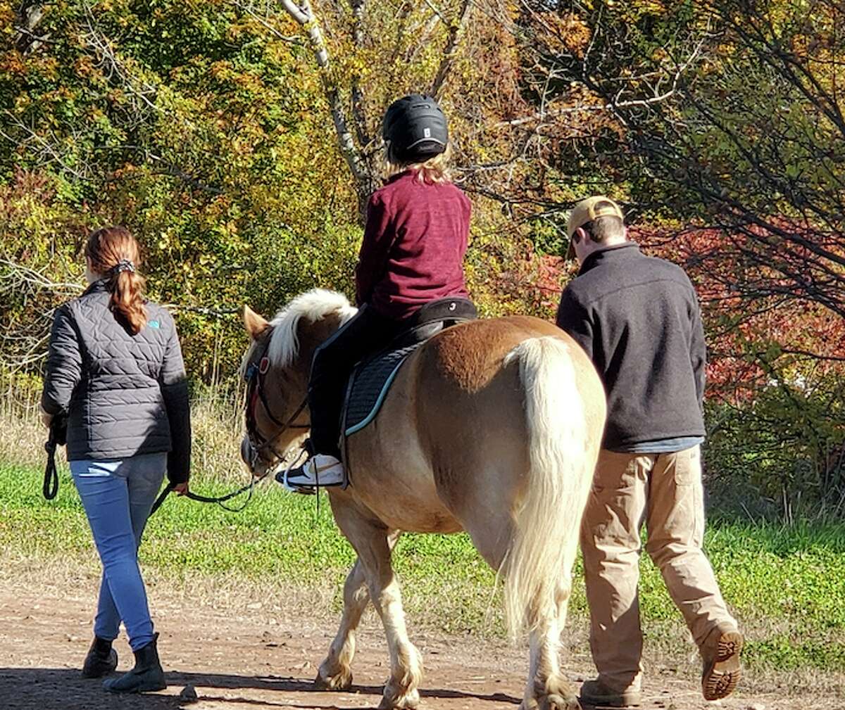 Equine therapy at CT's horse farms aims to heal and inspire