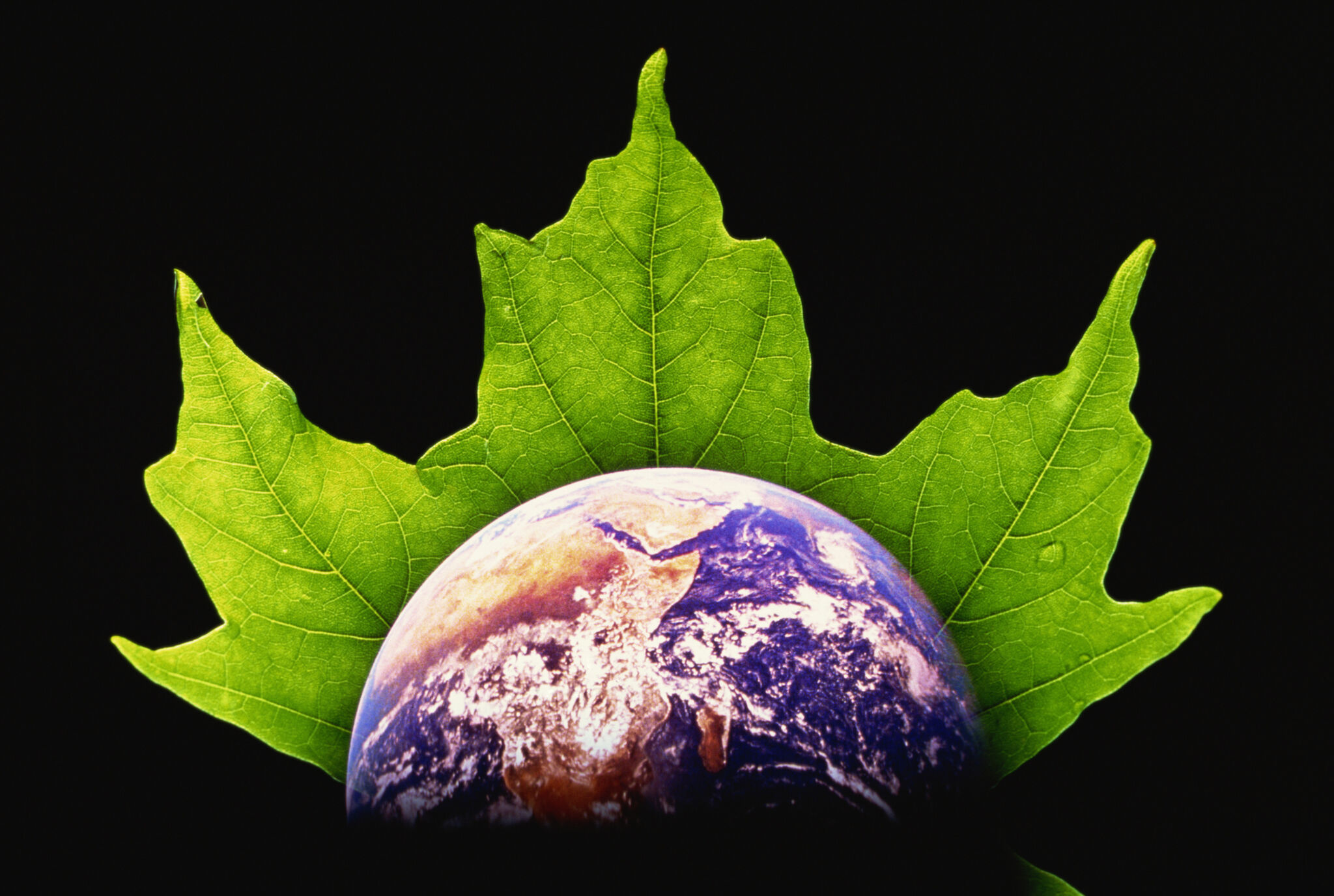 Opinion: Goals of Earth Day same as in 1970 - Vimarsana News