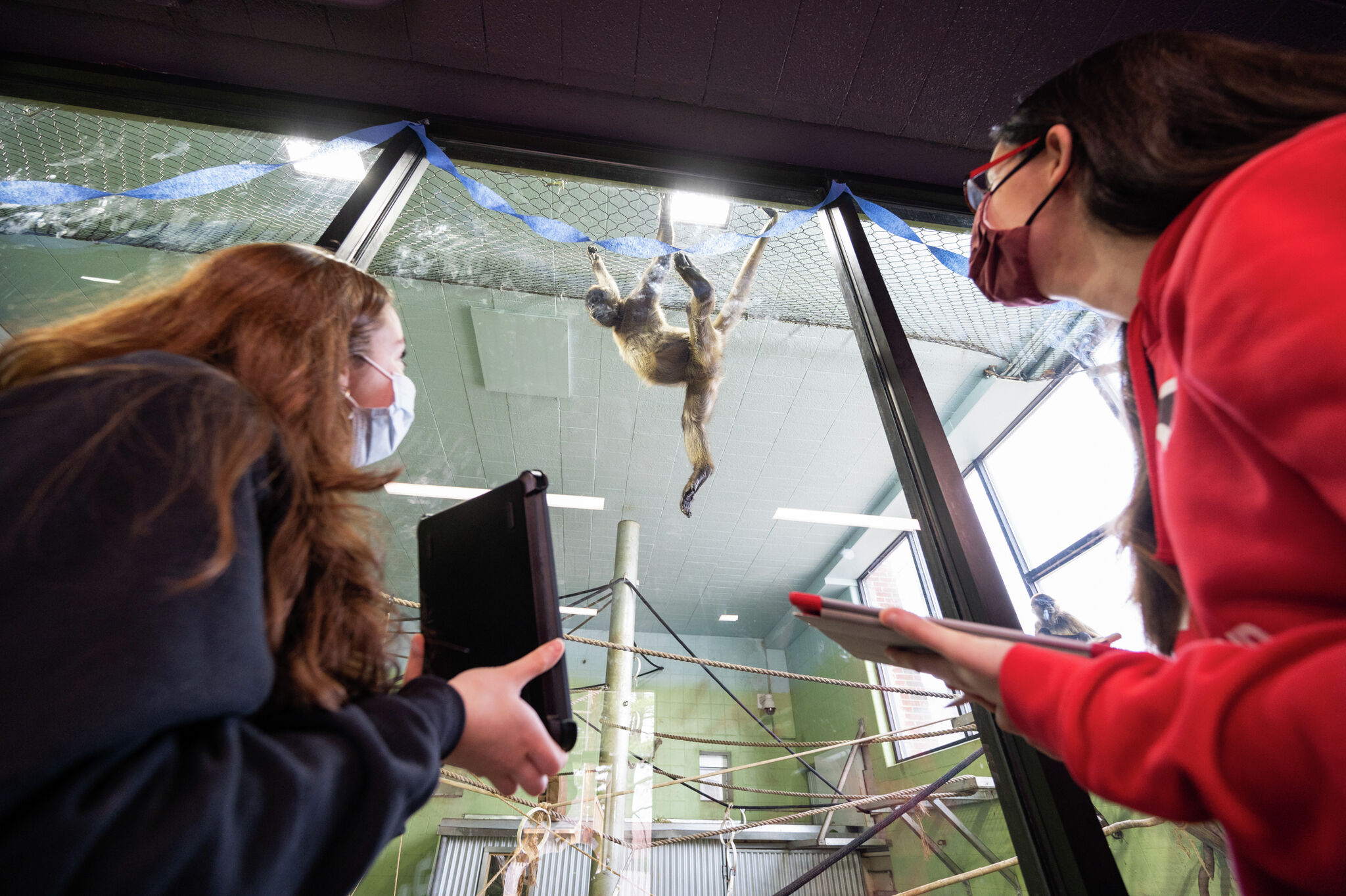 Fairfield U. students uncover animal secrets at Beardsley Zoo