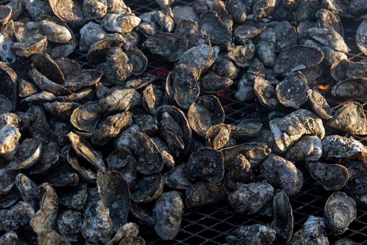 Photos from Oyster Bake and how you can celebrate Fiesta this weekend