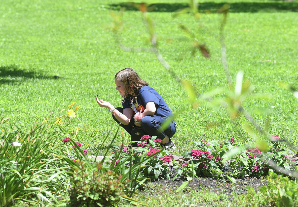 Shangri La draws huge crowd for annual butterfly release on Earth Day