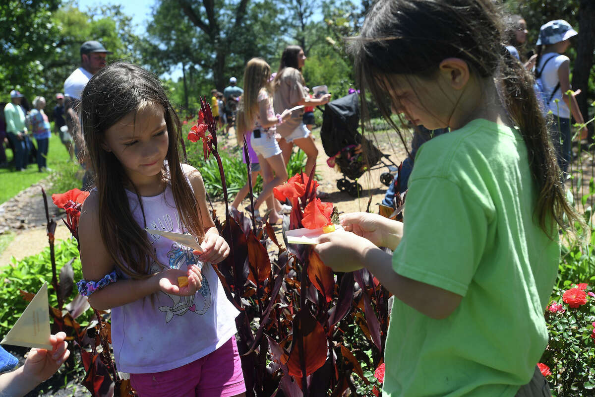 Shangri La draws huge crowd for annual butterfly release on Earth Day