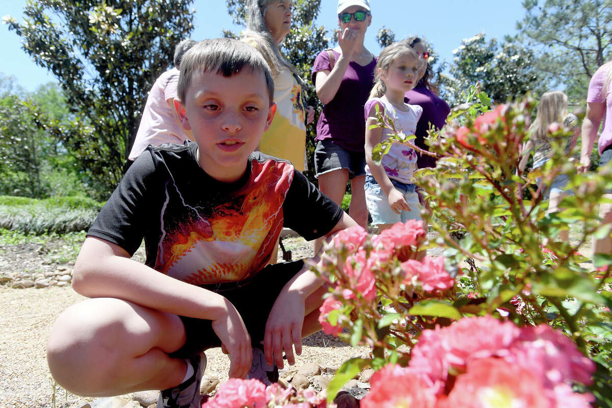 Shangri La draws huge crowd for annual butterfly release on Earth Day