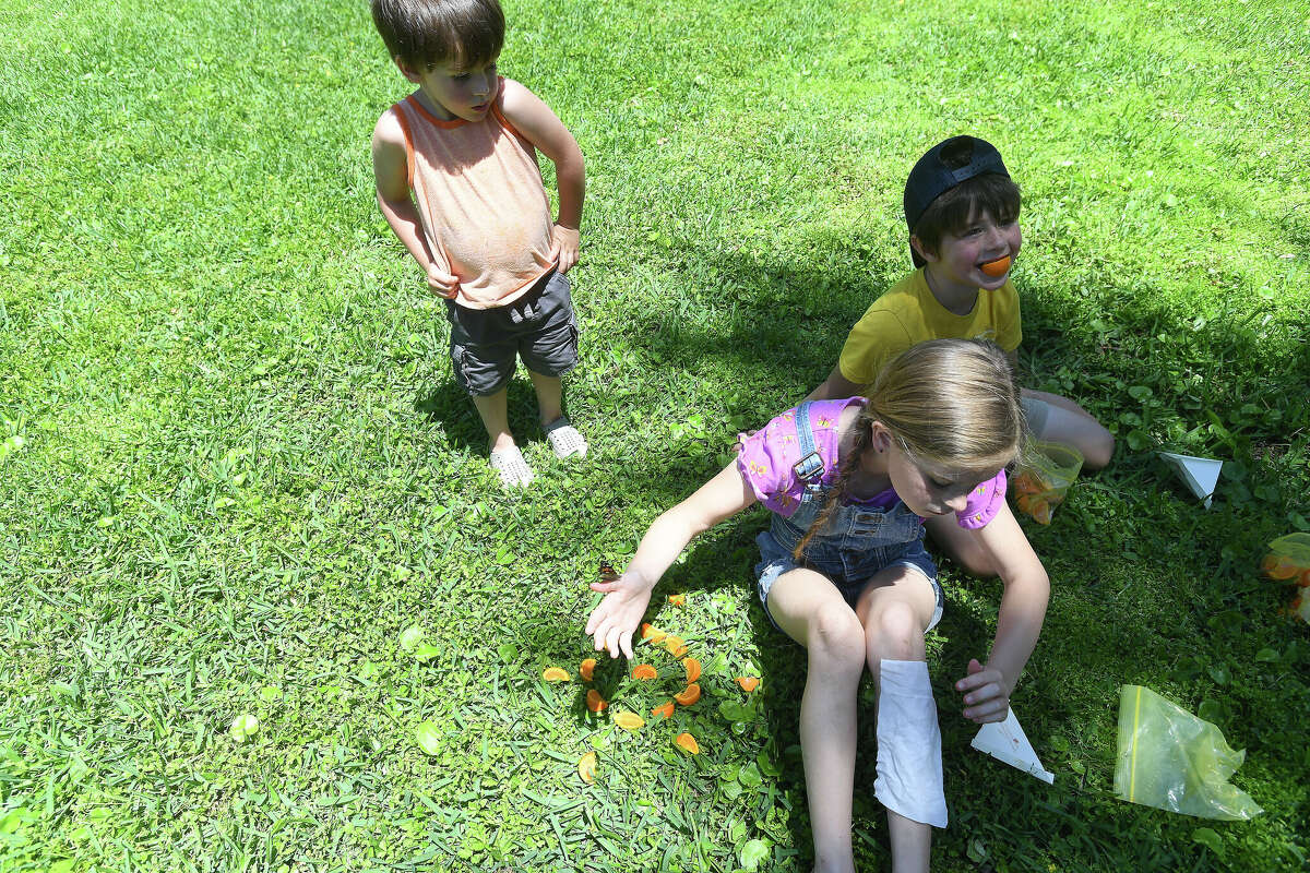 Shangri La draws huge crowd for annual butterfly release on Earth Day