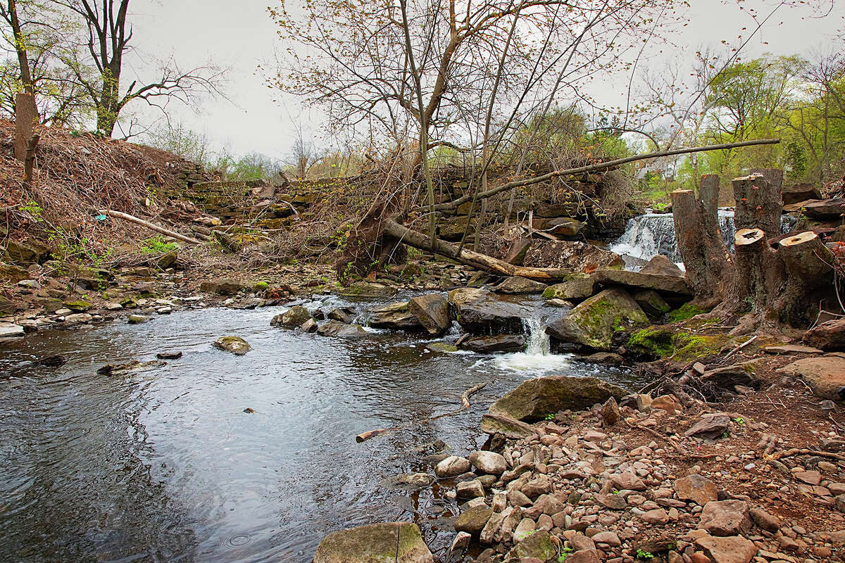 Wesleyan filmmakers document 'saving' of Middletown CT's historic pond