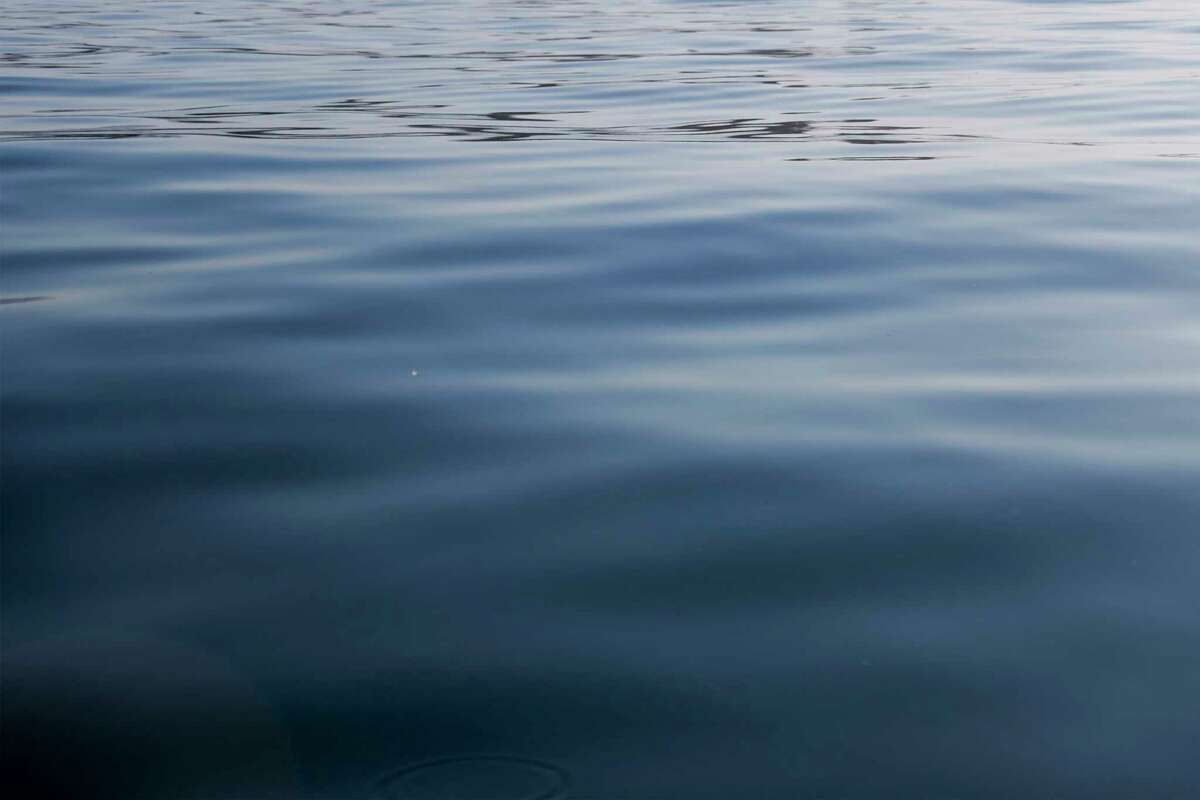 蒙特利湾平静的海水，远离阿普托斯。海湾里的深渊比大峡谷还要深。