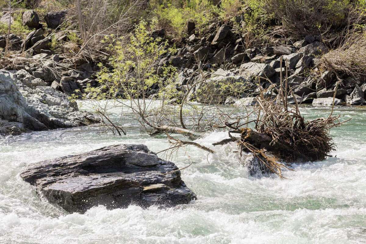 周五，在奥本的中福克美国河，一棵树被急流包围。