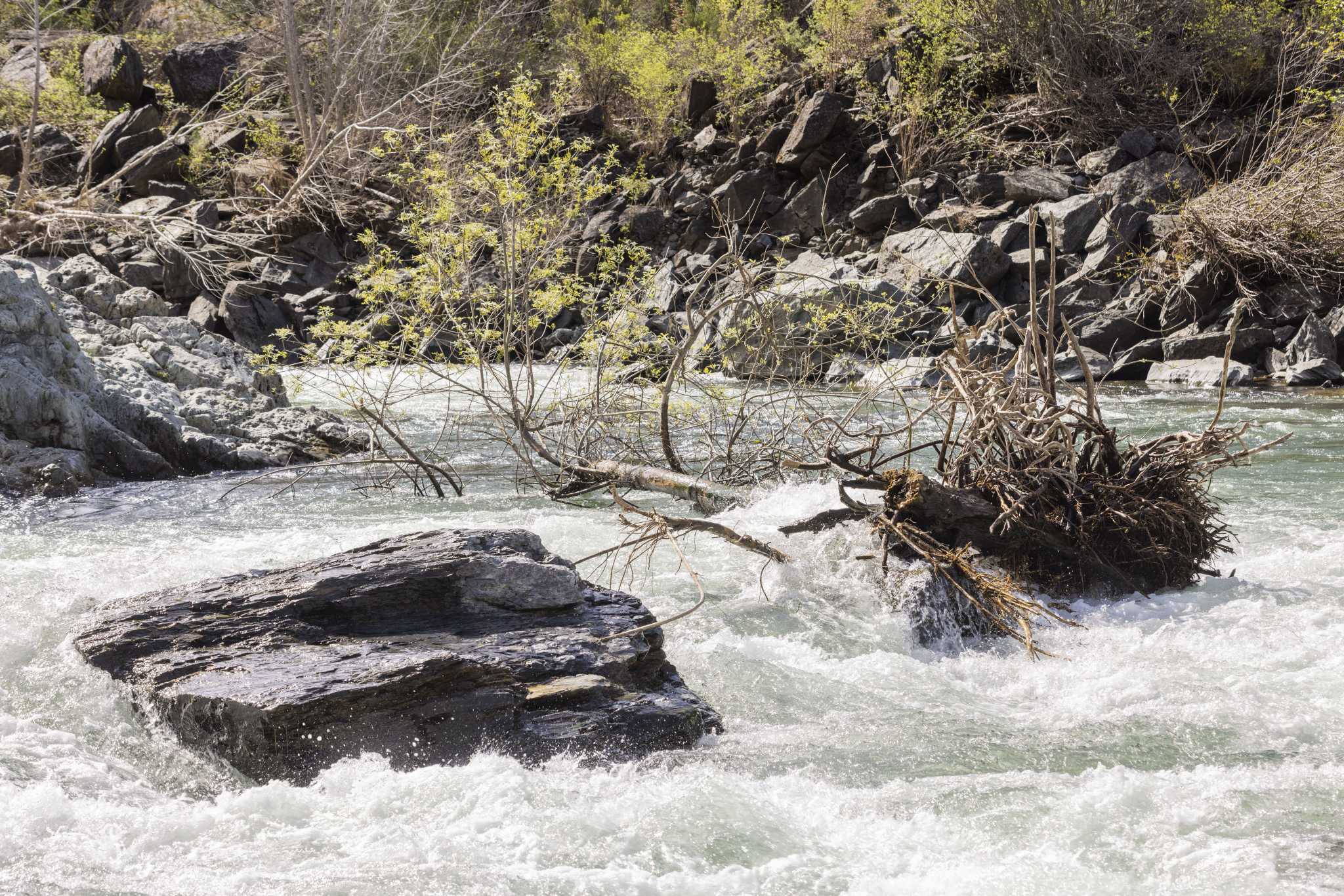 California's Big Melt means big risks - Vimarsana News