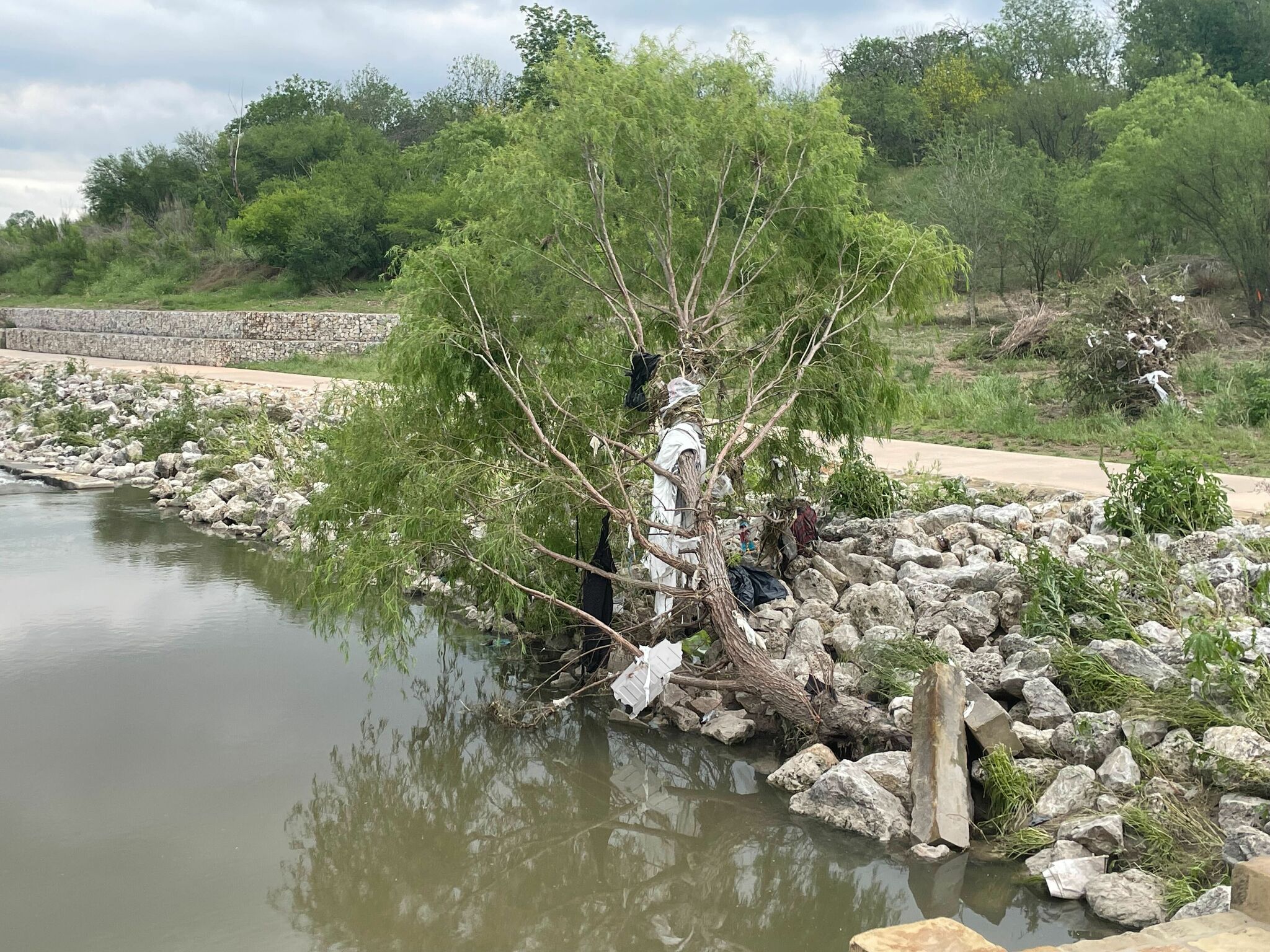 San Antonio floods result in trash strewn in trees on River Walk - Vimarsana News