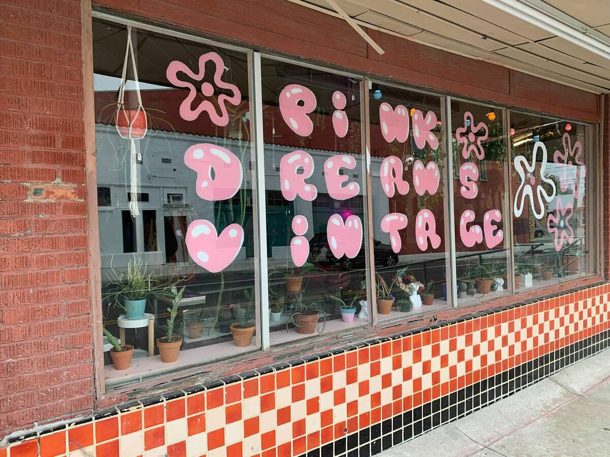 Owner Pinkie brings her love for plants to her new shop, Pink Dreams Vintage. The plants on display are also available for sale.