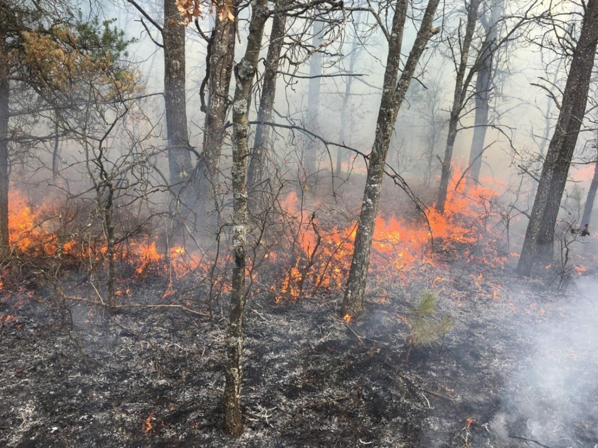 Huron-Manistee National Forests Prepare For Prescribed Fire Season