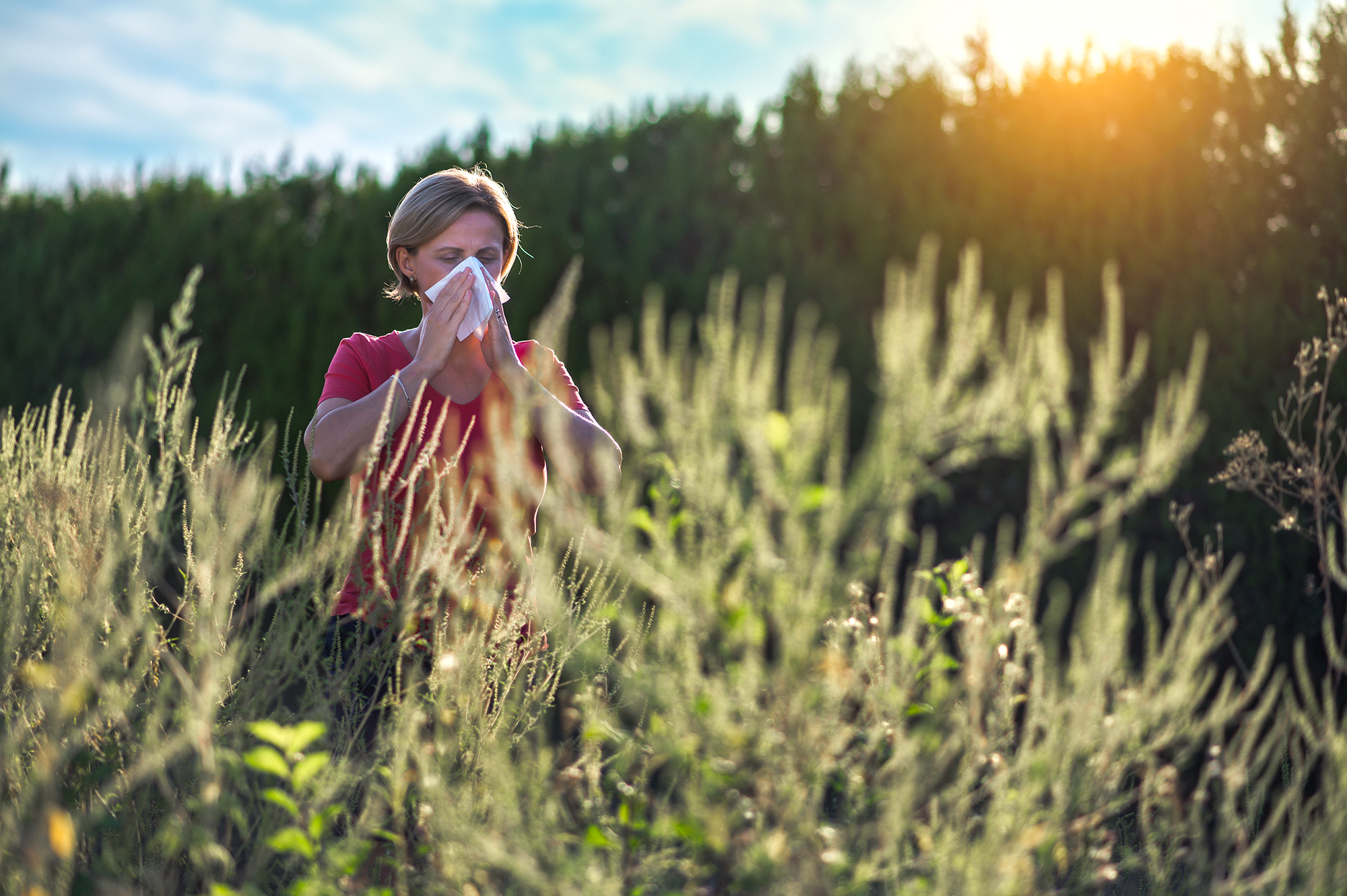 Field experience. Поллиноз Сток фото.