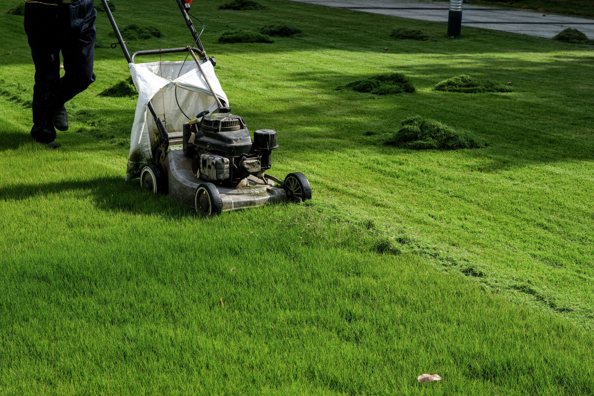 Viral video: Texas firefighters on duty help 95-year-old mow lawn