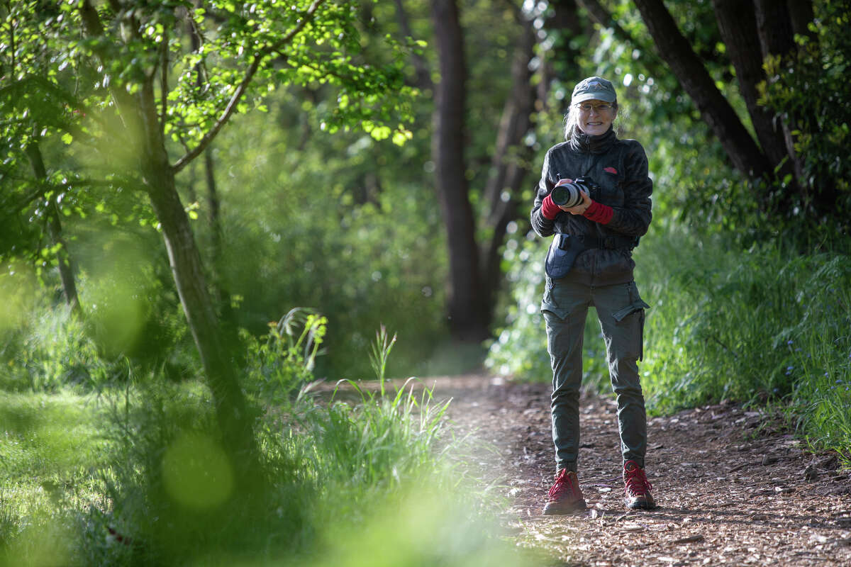 Janet Kessler poses while photographing coyotes in Golden Gate Park in San Francisco, Calif. on Apr. 27, 2023. Kessler has been capturing images of the coyotes in the park for years.