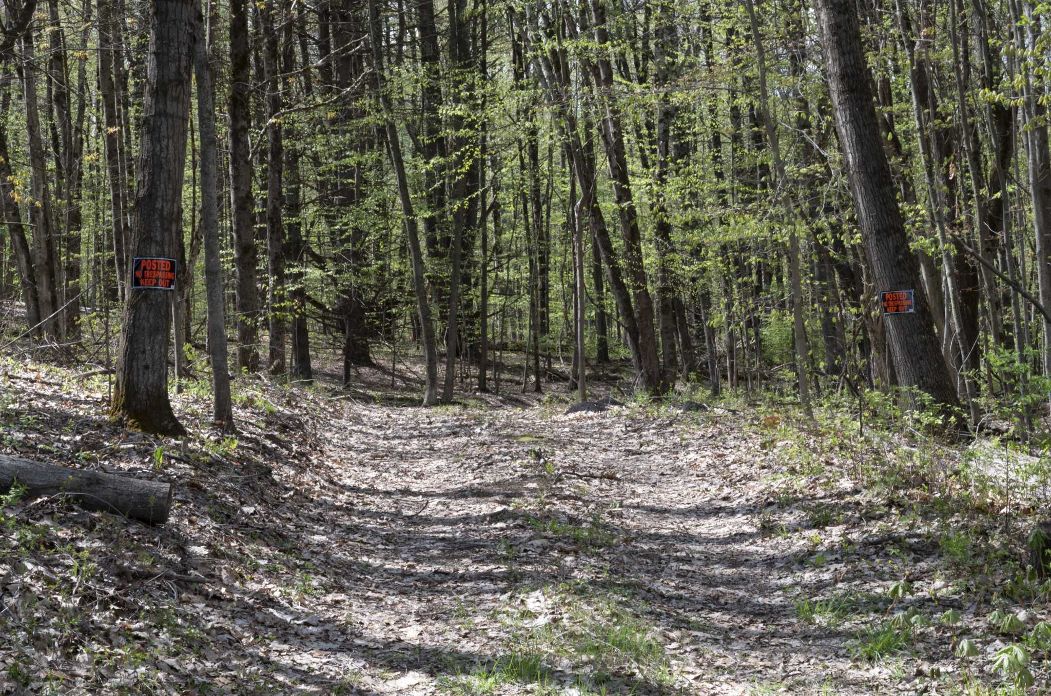 Cedar Bluff opponents make last attempt to halt project - Vimarsana News