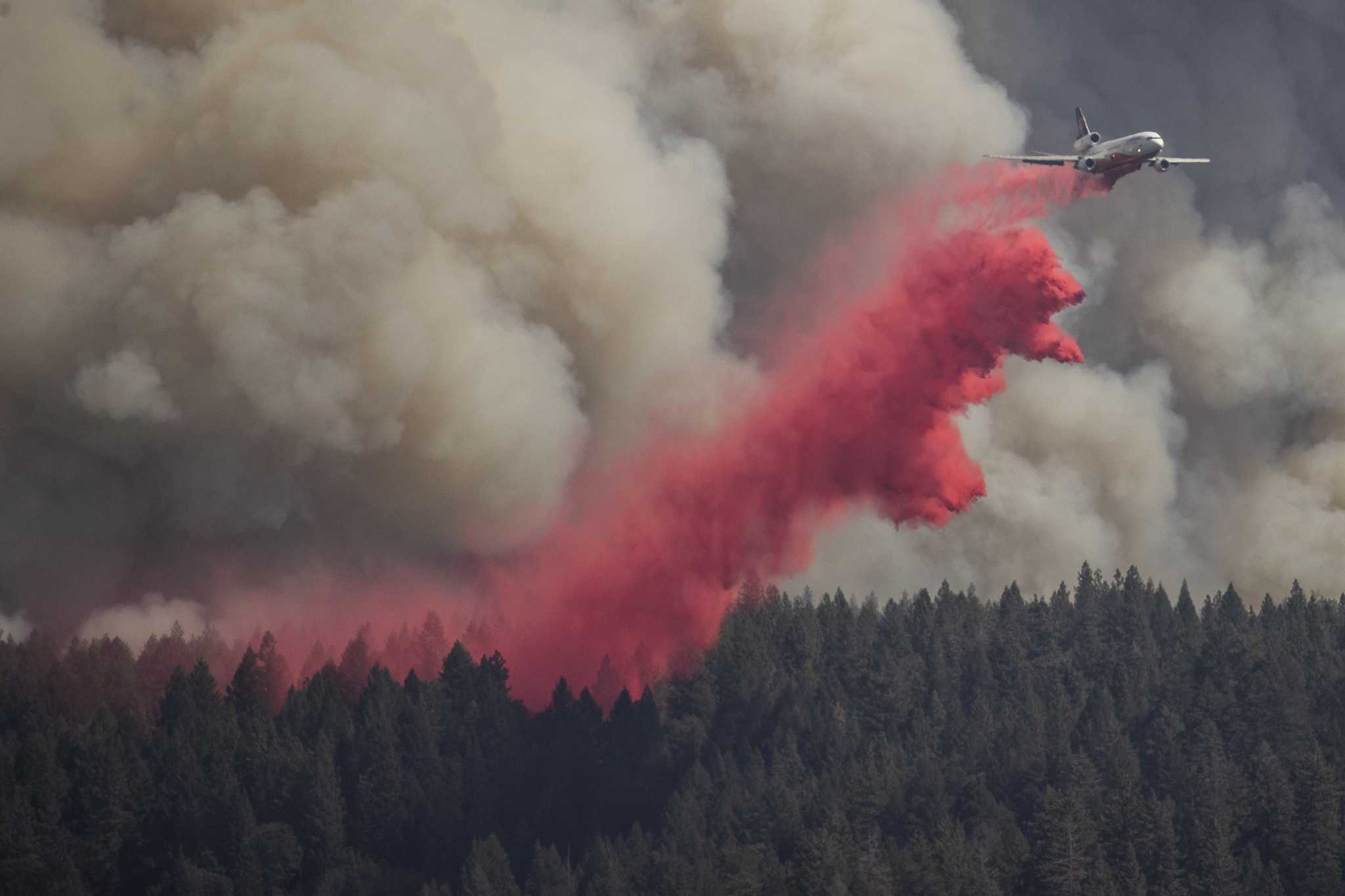 What is wildfire risk in the Bay Area and Northern California? - Vimarsana News