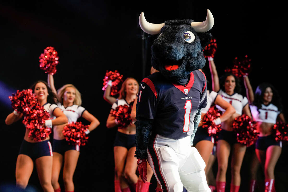 Houston Texans: Sorry, Toro. It's time for a live mascot.
