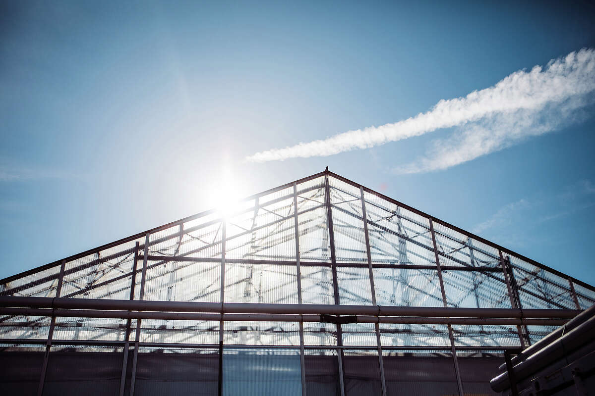Glass House's largest pot farm is located roughly 50 miles west of Los Angeles.