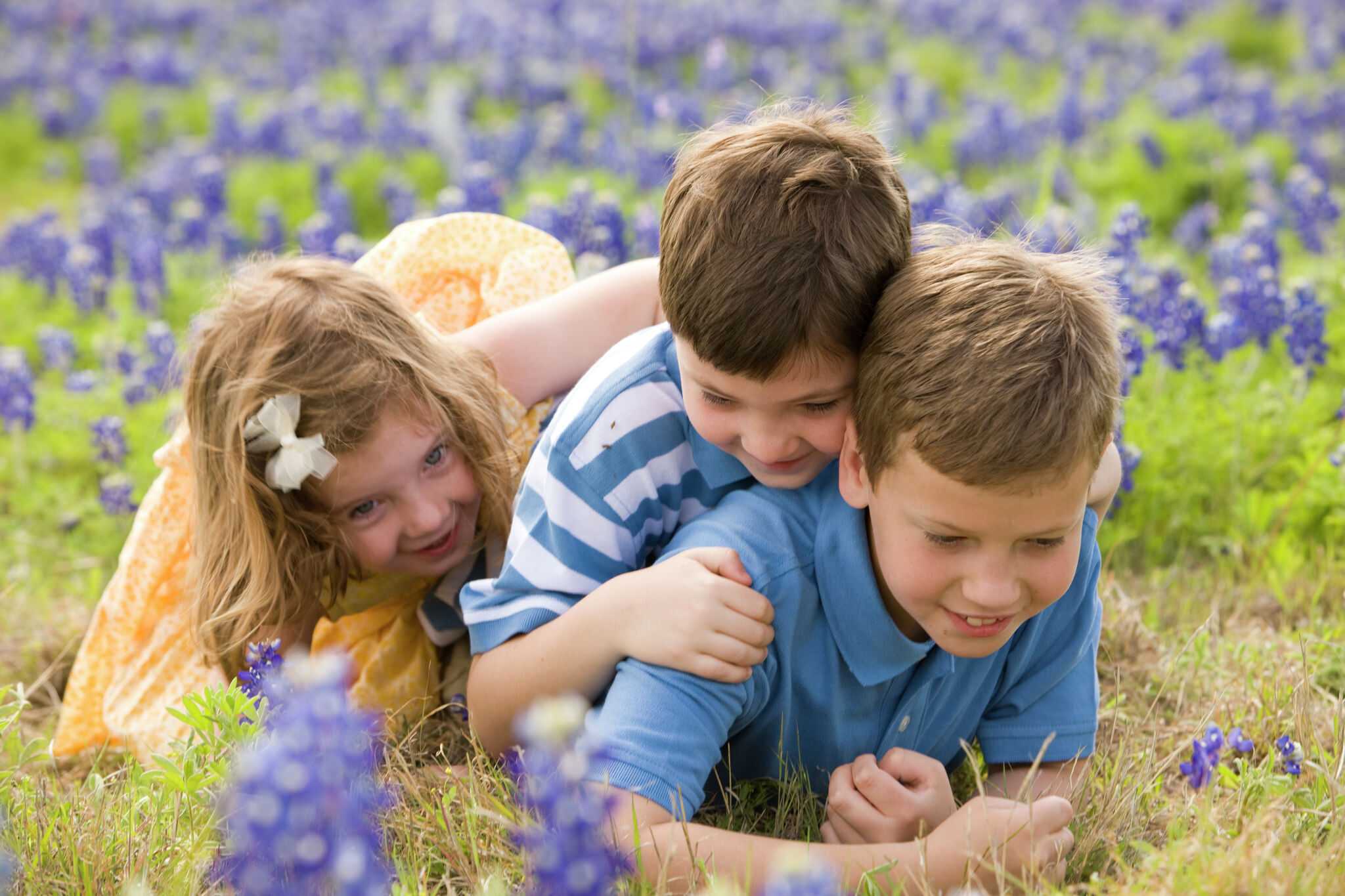 Texas Parks and Wildlife host photo contest 'The Joys of Spring' - Vimarsana News