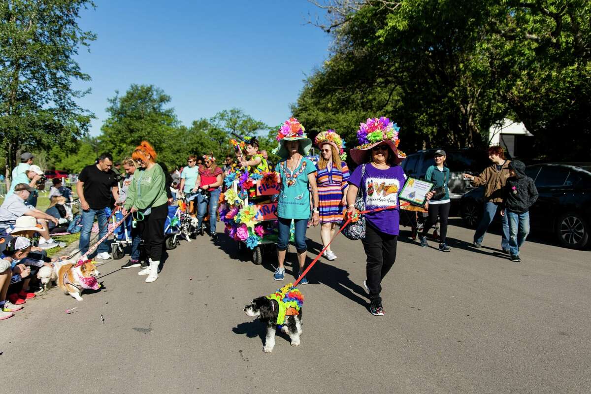 Fiesta's Pooch Parade takes over Alamo Heights
