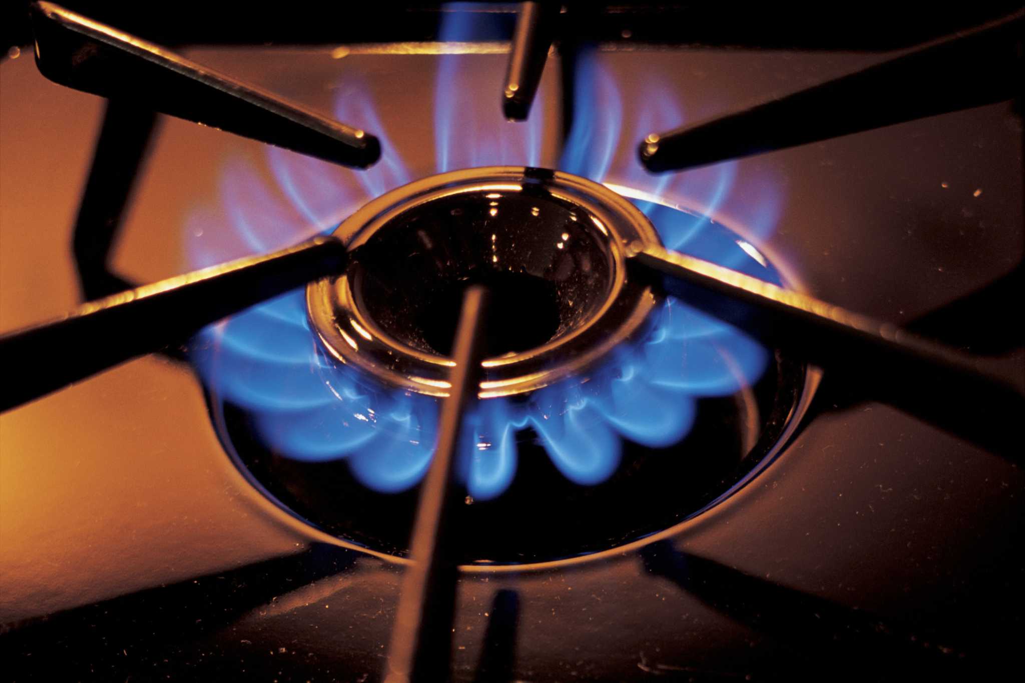 Appliance411 FAQ: Understanding Gas Oven Ignition Systems