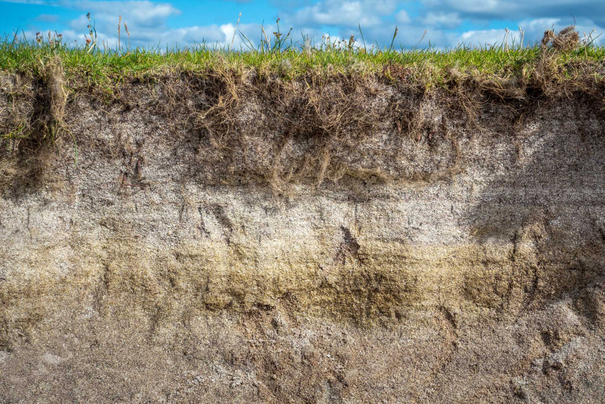 What Are The Characteristics Of Sandy Loamy And Clay Soil