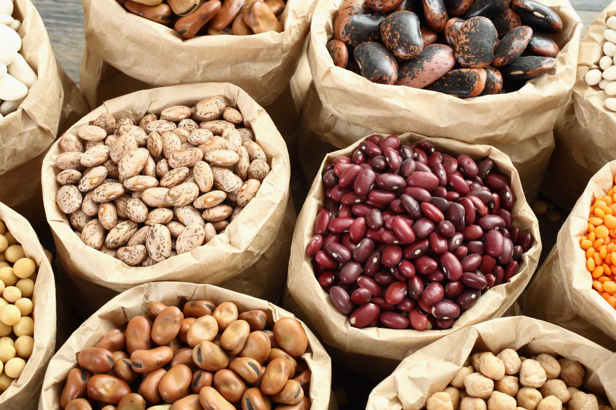 Amino Acid Profile of Beans