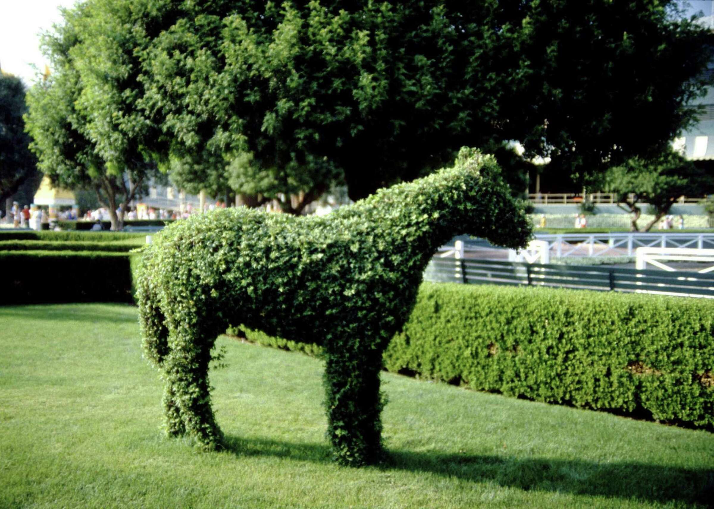 How to Make Animal Topiary Wire Frames