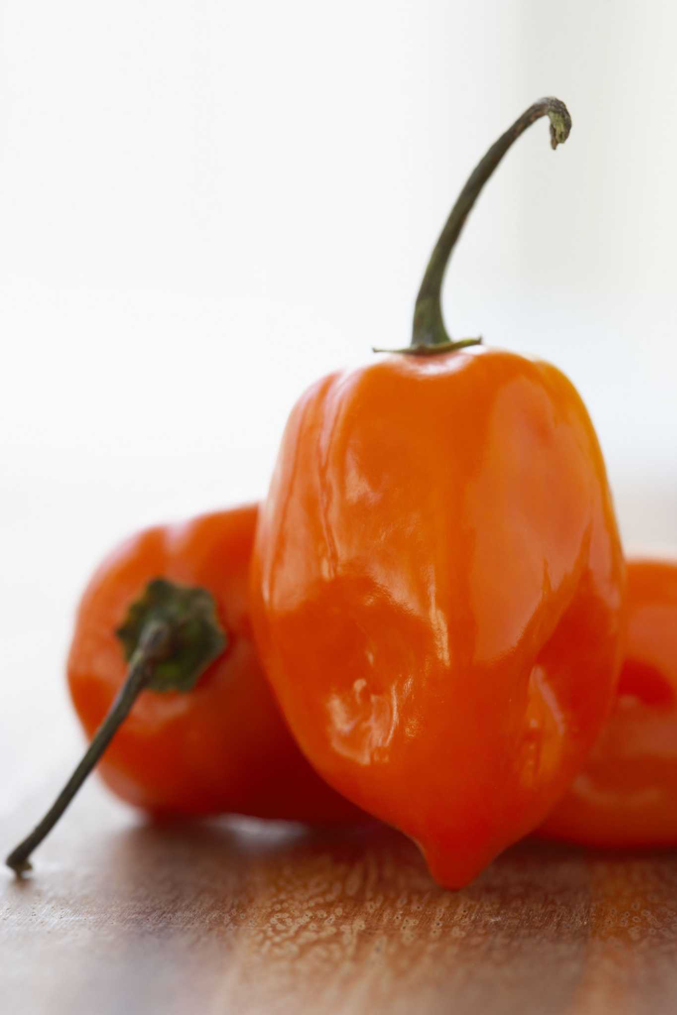 Does Chili Repel Mosquitoes?