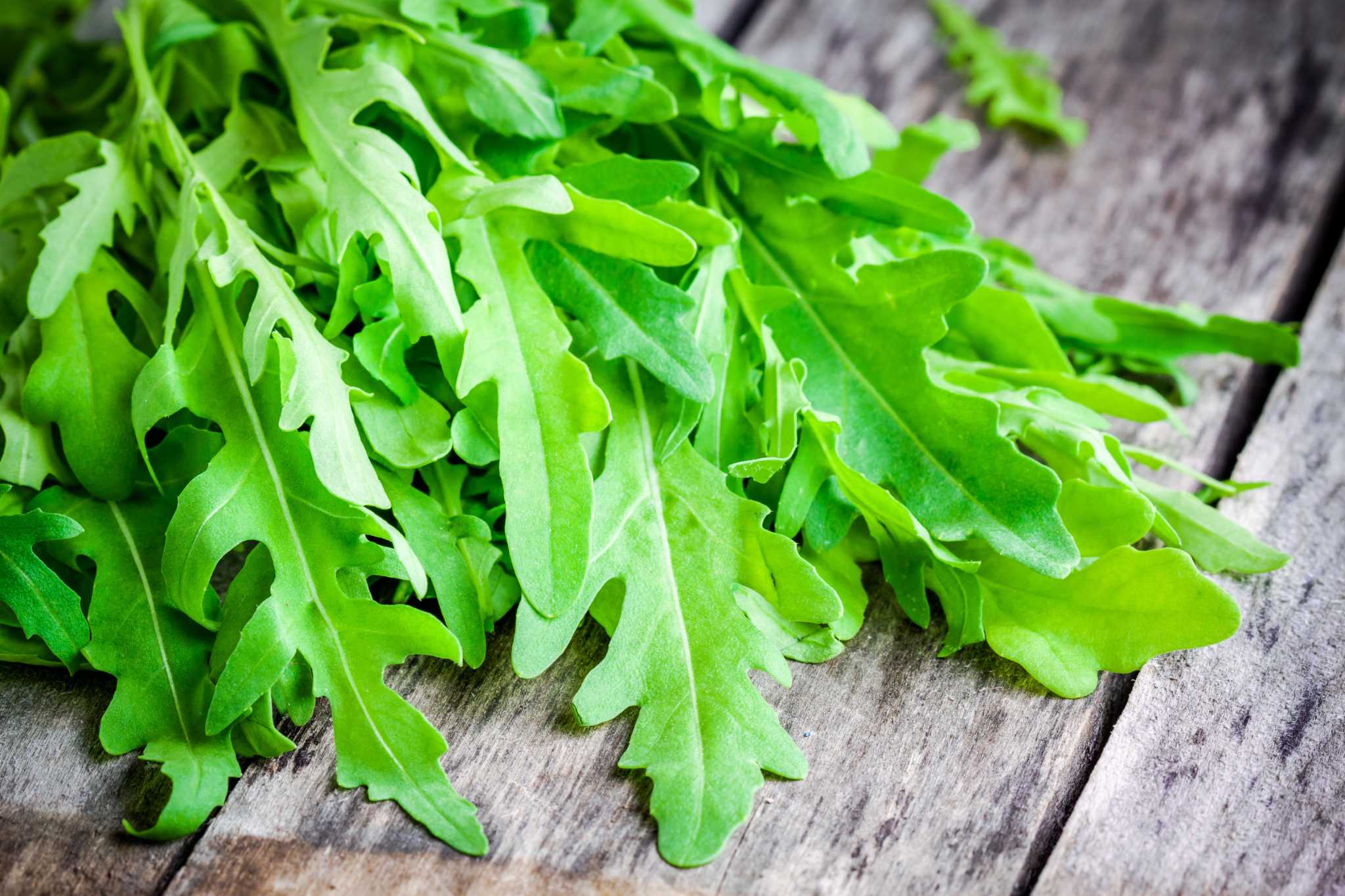 Arugula & Vitamin K