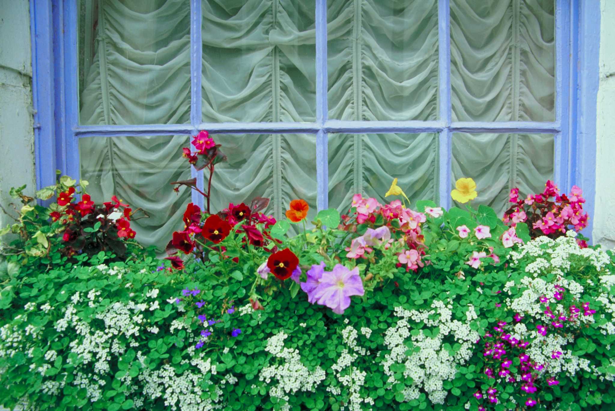 How to Build Window Boxes Out of Pallets