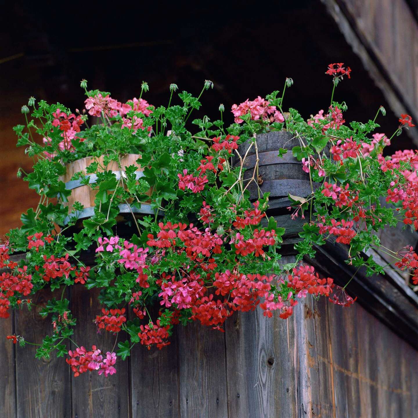 How to Hang Flower Baskets on Fences