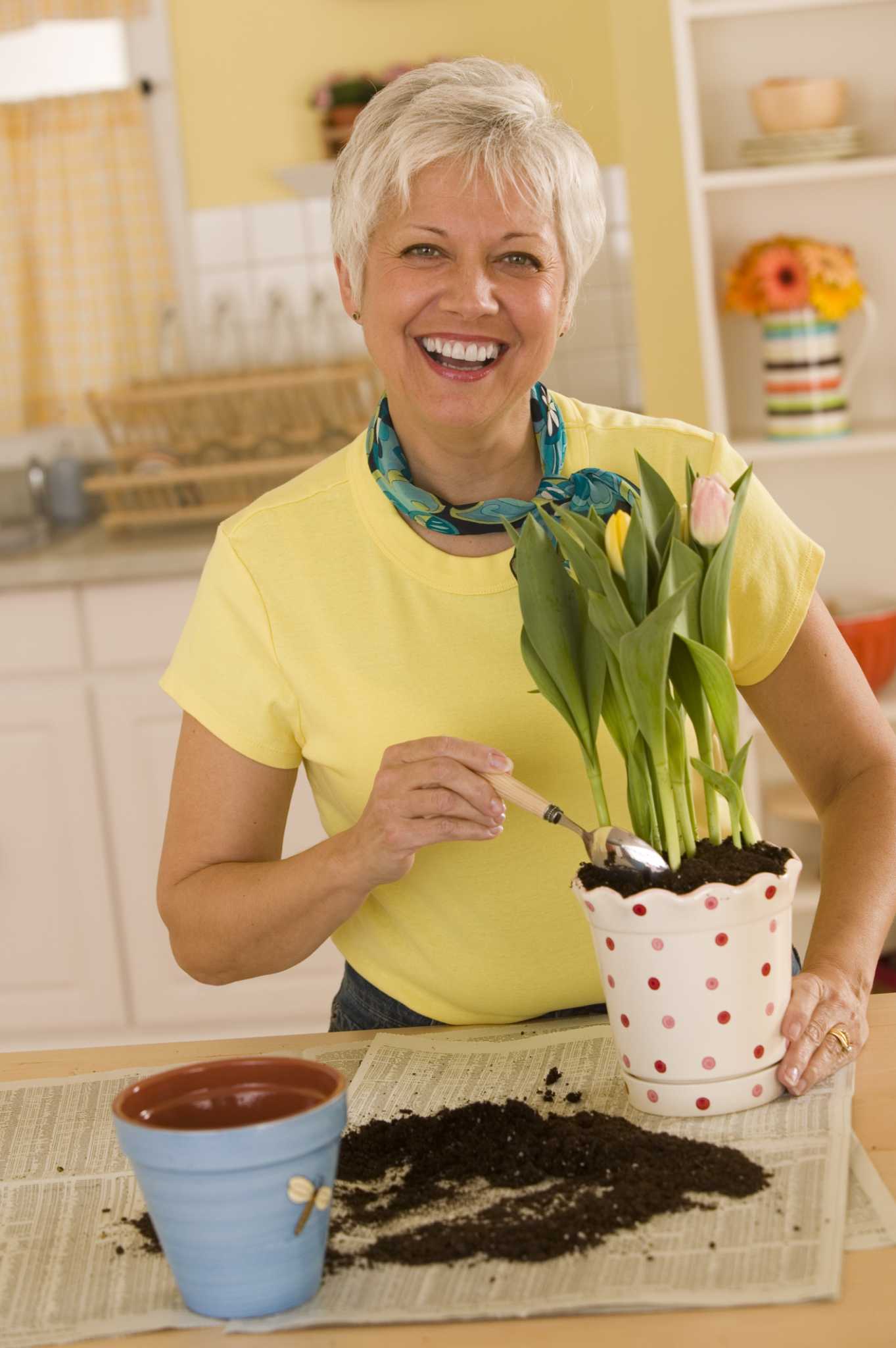 How to Sterilize Used Potting Soil